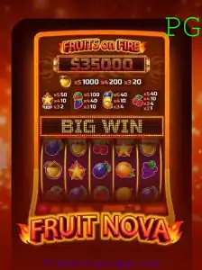 Explorando o Mundo de FruitNova: Um Mergulho no Jogo e no App 676 Bet Login